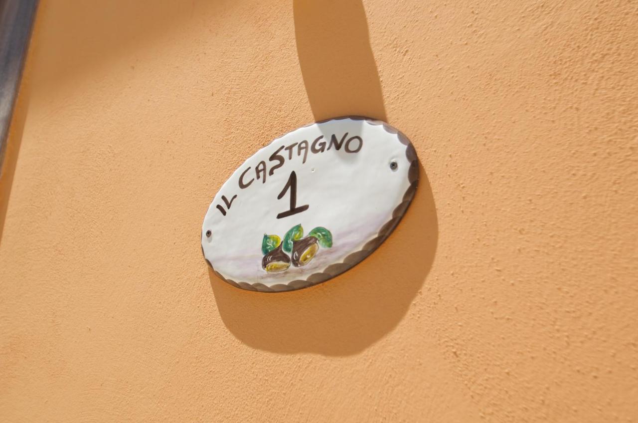 Bed and Breakfast il castagneto Campagna Esterno foto